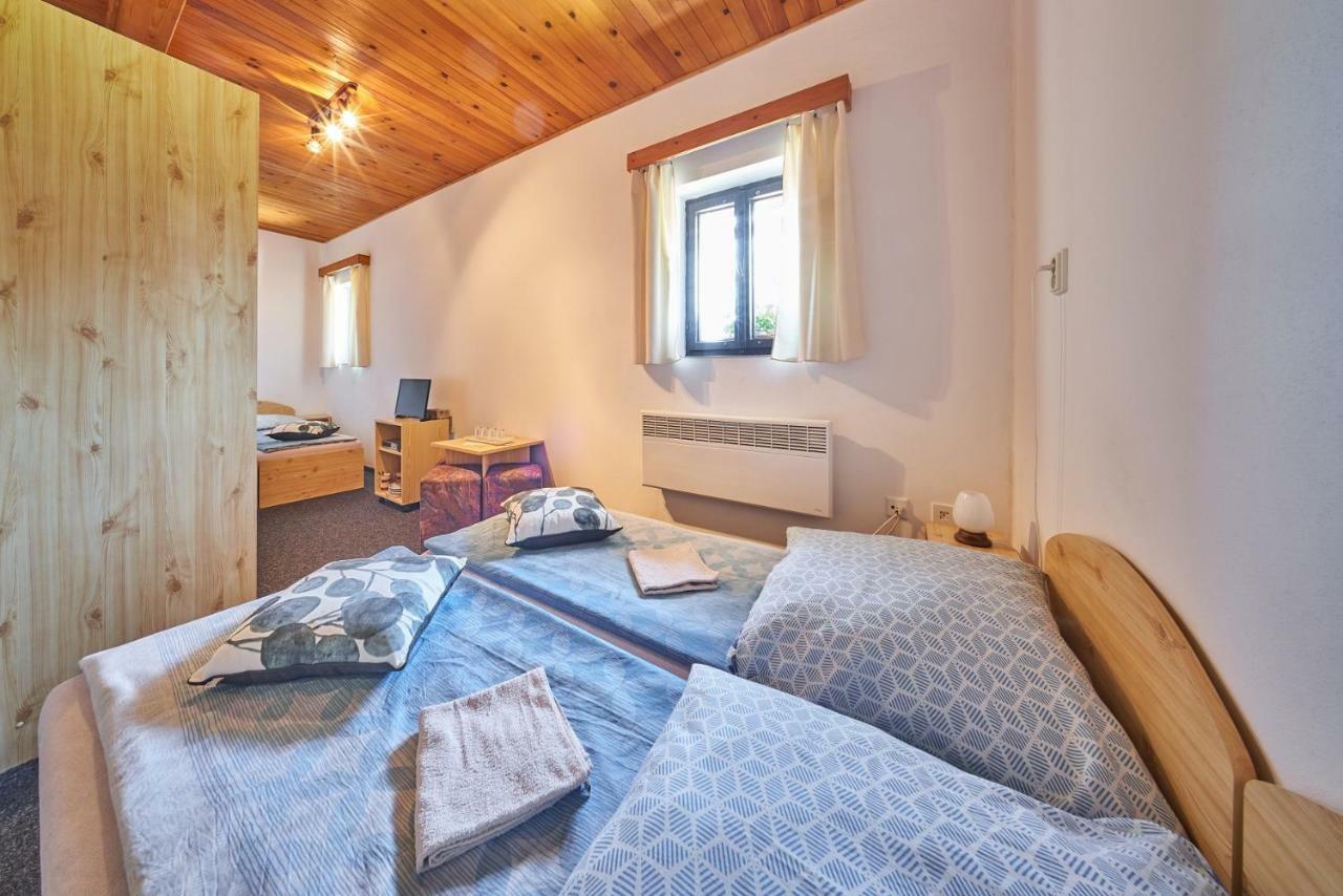 Hotel Penzion Pod Lesem à Hodkovice Extérieur photo