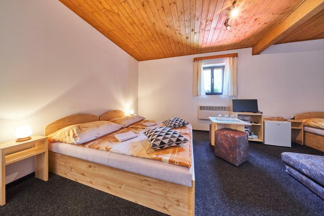 Hotel Penzion Pod Lesem à Hodkovice Extérieur photo