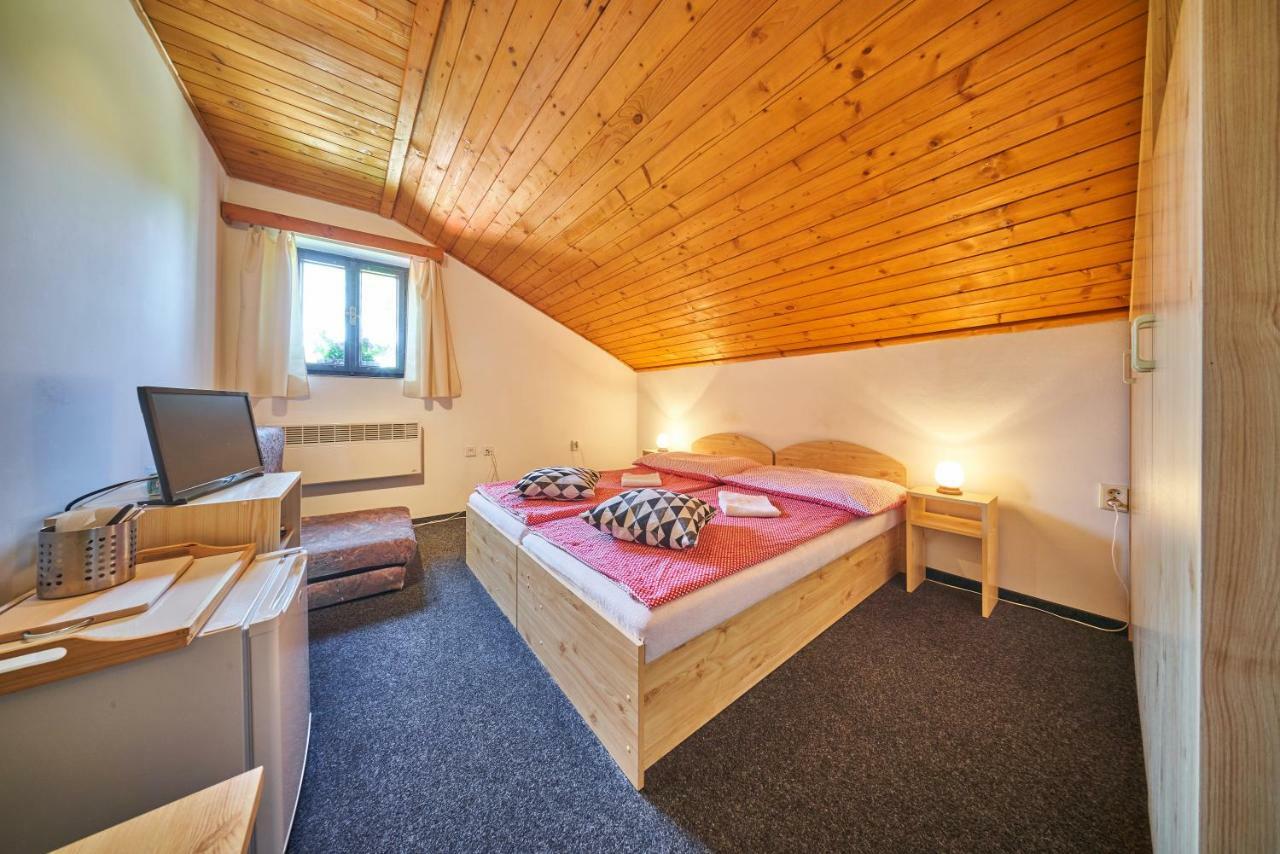 Hotel Penzion Pod Lesem à Hodkovice Extérieur photo